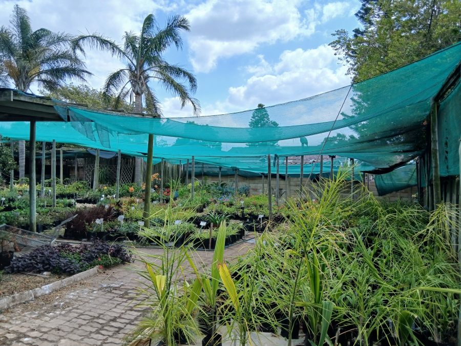 Commercial Property for Sale in C Place Eastern Cape